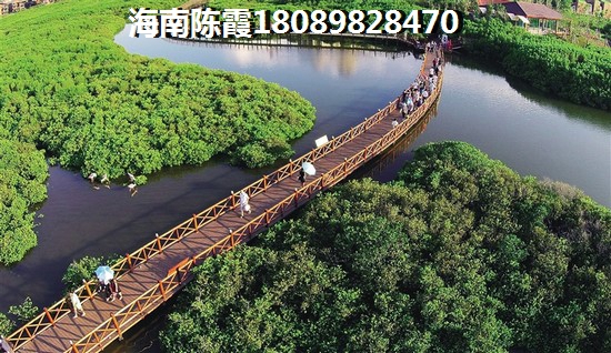 丰绅未来城防潮秘籍 丰绅未来城防潮秘籍