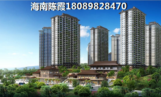 临高XG政策
