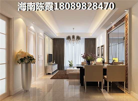海南碧桂园澜江华府
