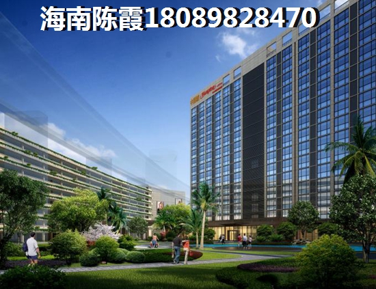 双杰·蓝海国际VS金海假日分析对比