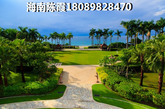 临高御澜湾生纸因素分析