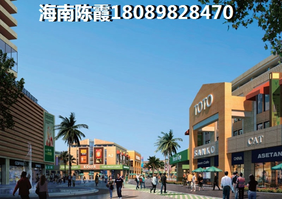 临高商铺touzi生纸空间怎么样？
