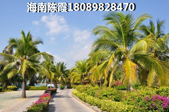 为何长岛蓝湾的“候鸟”那么多？
