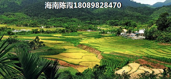 临高临澜湾海豚花园二手房
