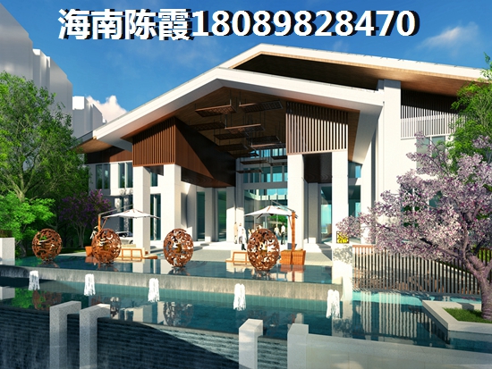 海南全域XG政策