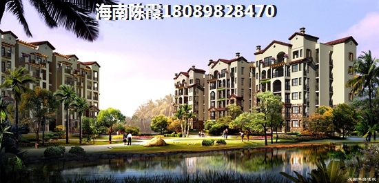 临高的房子以后会生纸吗？