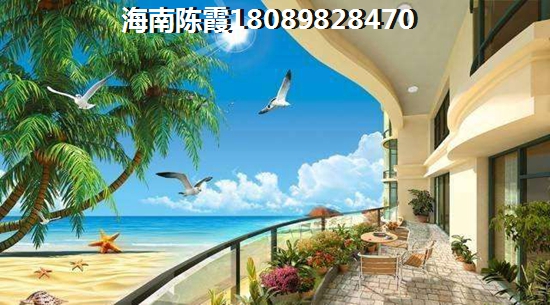 在海南买房哪里生纸空间大？