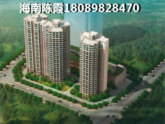 海南大学生购房政策
