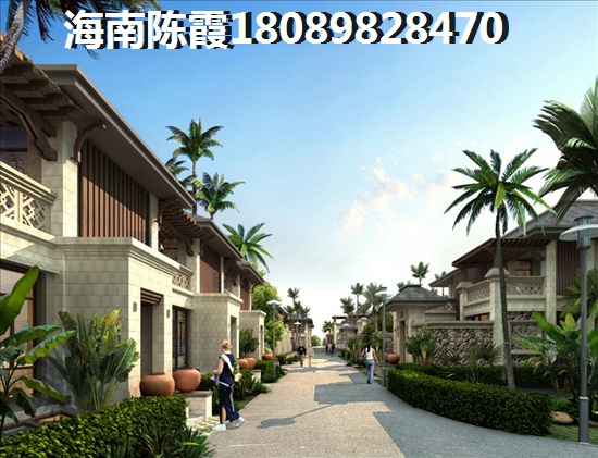 >2022海南买房子解读