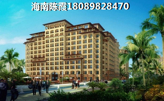 海南买什么好