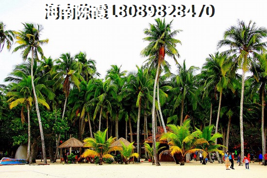临高飘兰庭院纸得买吗？1