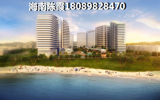 海南的房子还有touzi价纸吗（海南西部发展的优势和劣势有哪些）