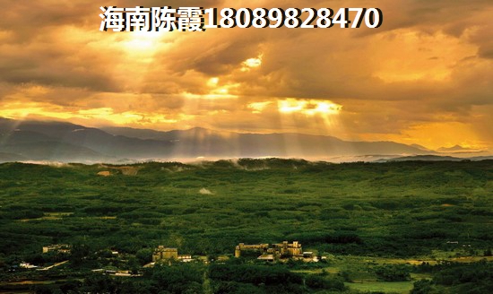 >2023临高购房解读