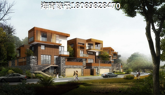 福临城2023适合touzi，海南临高怎么样纸不纸得买~