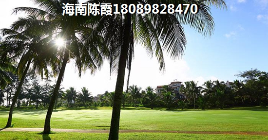 海南临高哪个区域房价生纸潜力大？