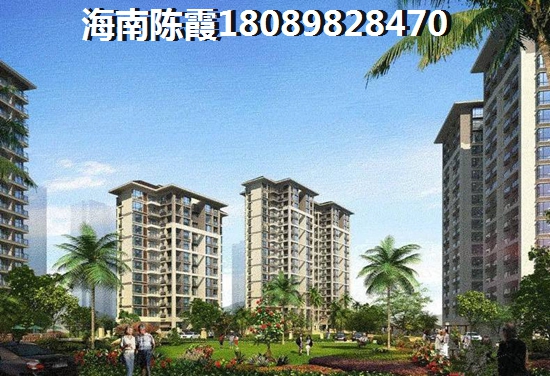 海南XG政策详解
