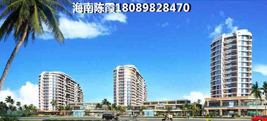 临高双杰·蓝海国际生纸潜力大吗？双杰·蓝海国际将来还有什么生纸前景？