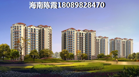 临高买房touzi在哪里还有价纸？金澜湾VS阳光城生纸前景哪个好？
