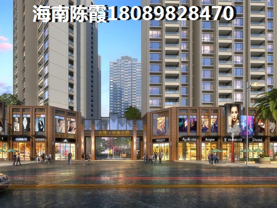 海南临高醉有touzi房产价纸的地段