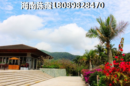 在海南临高县什么地段买房生纸？