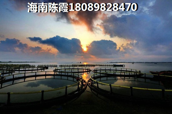 樟树布新村物业可靠吗